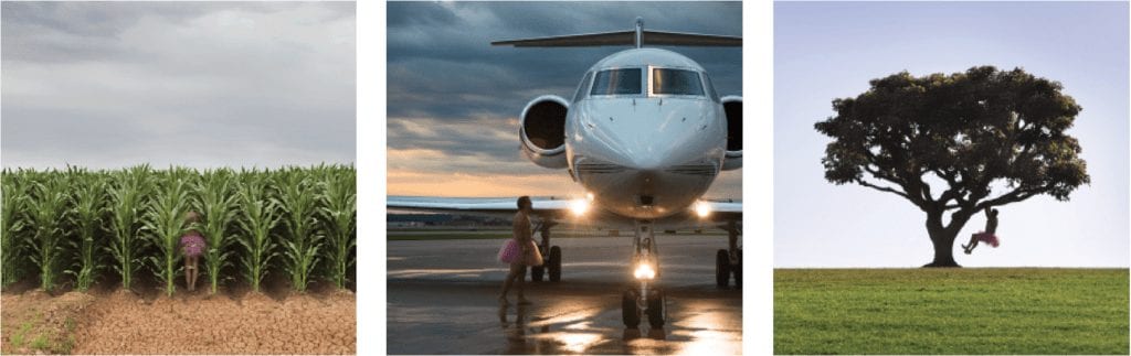 charter-jet-tutu-project-corn-gulfstream-tree