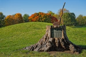 private-jet-crooked-stick-stump