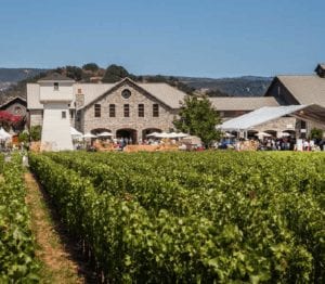 private-jet-silver-oak-vineyard