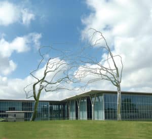 private-jet-the-modern-conjoined-wharton